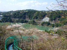 鳥羽山公園