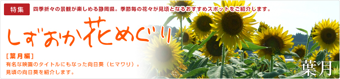 静岡花めぐり・葉月編