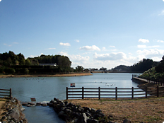 親水公園居沼池