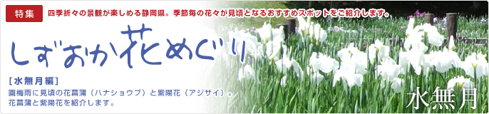 静岡花めぐり・水無月編