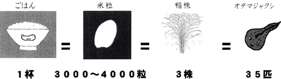 図：人間とごはんと生きものの関係