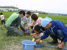 写真：生きもの調査